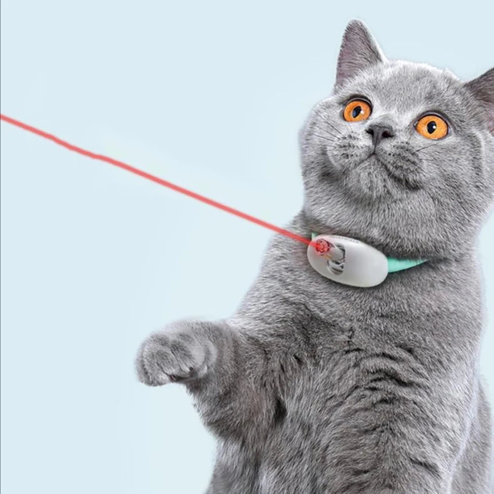 Interactive Laser Cat Collar