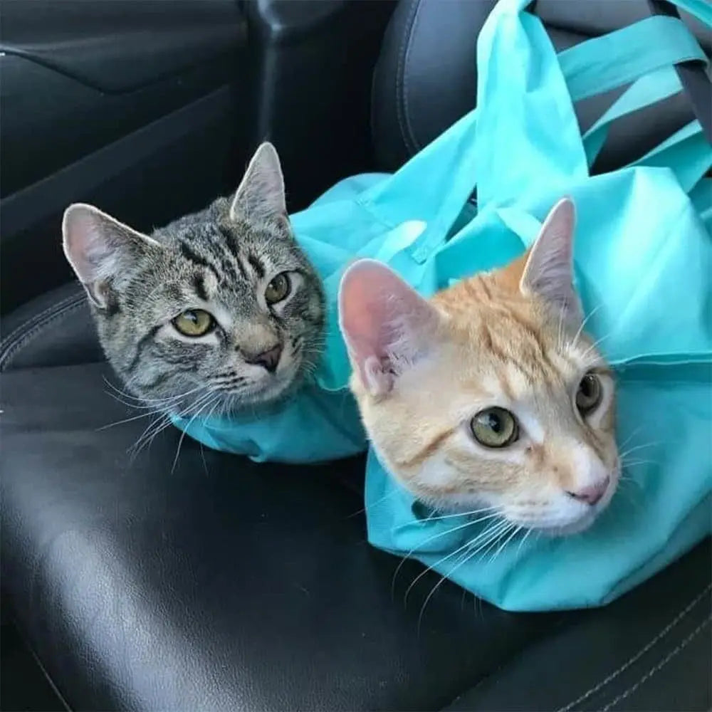 Travel Cat Carrier Pouch