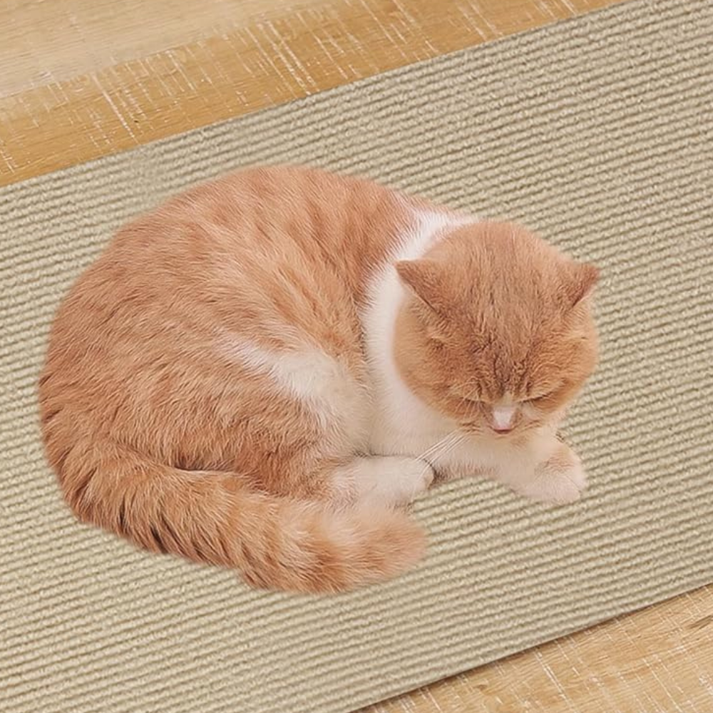 Cat Scratch Couch Protector Mat