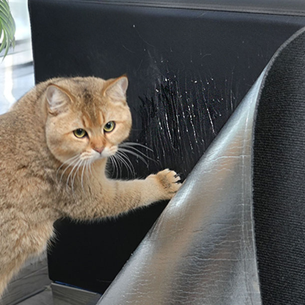 Cat Scratch Couch Protector Mat