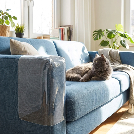 Cat scratch couch guard on sofa
